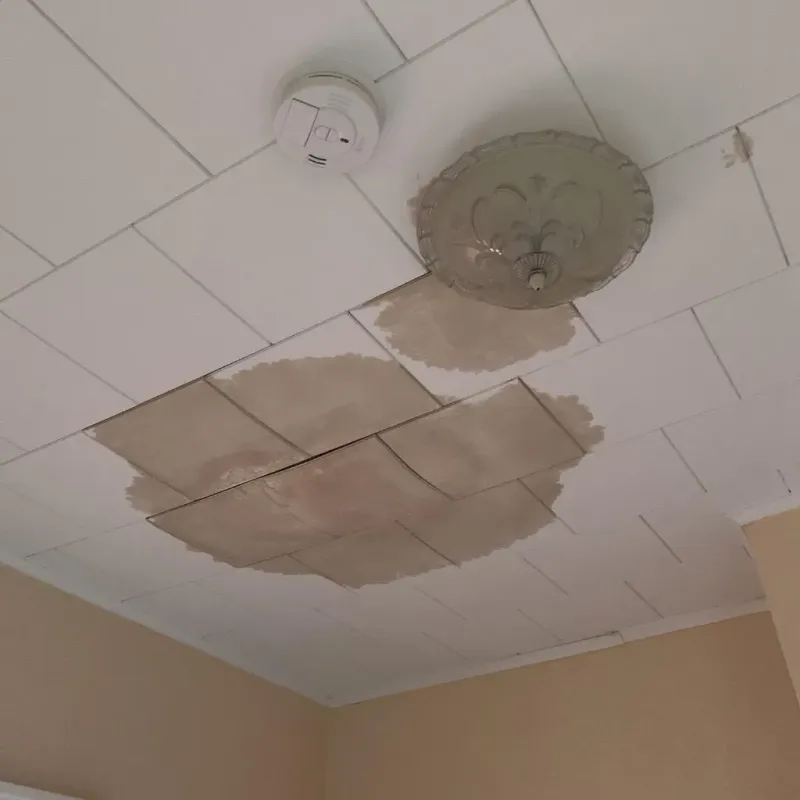 Ceiling Water Damage Repair in Liberty, MS