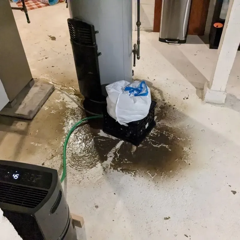Sewage Backup Cleanup Service in Liberty, MS